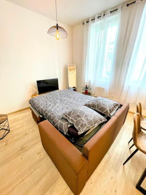 Apartment Bel - Plain-pied - Centre - Iut